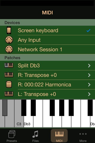 IPlayMIDI screenshot 4