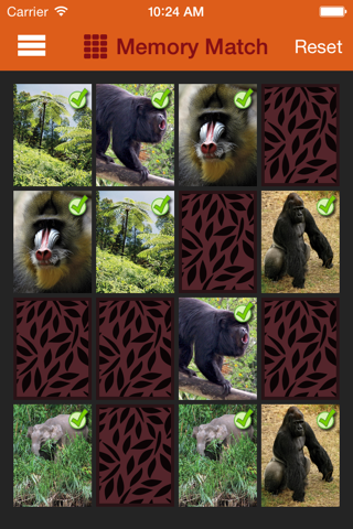 Britannica Kids: Rainforests screenshot 3