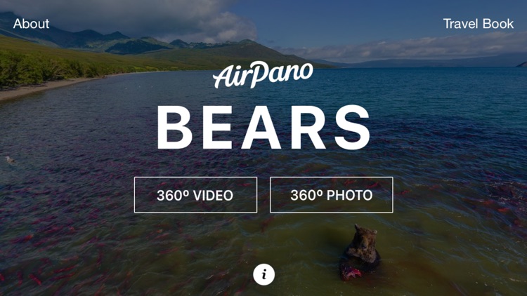 Bears 360°