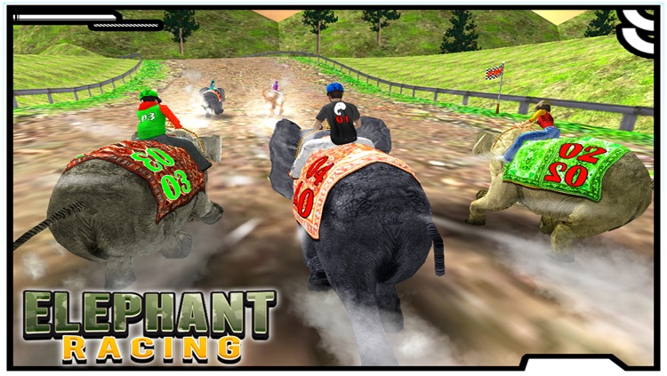 Elephant Racing