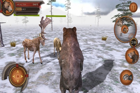 Bear Forest 3D Simulator Pro screenshot 3