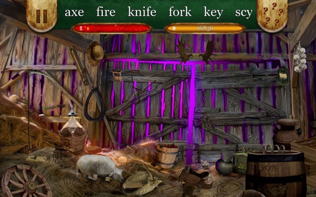 Hidden Object: Coyote the Outlander