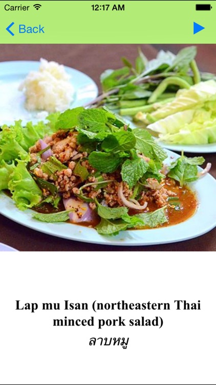 Thai Food Menu (thai voice) screenshot-4