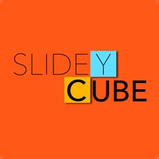 Activities of SlideyCube