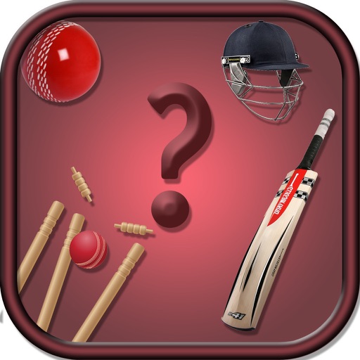 Cricket Riddle Quiz! icon