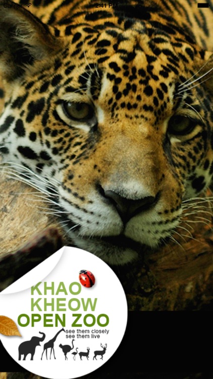 Khao Kheow Open Zoo