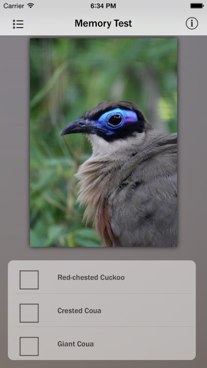 Cuckoos - Bird Guru screenshot-4
