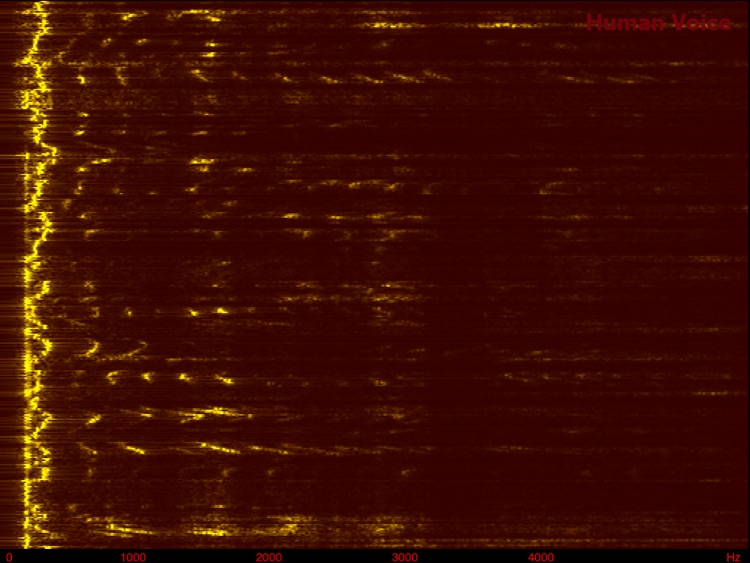 Audio Spectrum HD screenshot-3