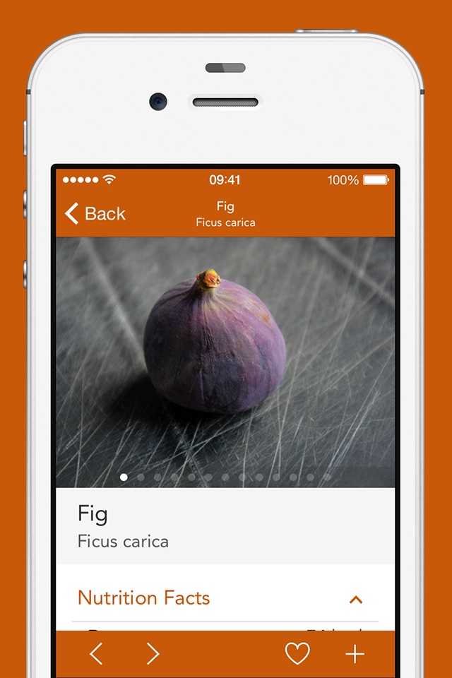 Exotic Fruits and Vegetables 2 PRO - NATURE MOBILE screenshot 3