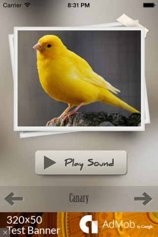 Bird Sounds Ultra screenshot 3