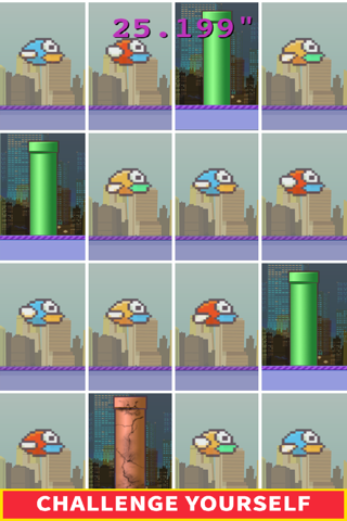 Don't Tap The Birds screenshot 4