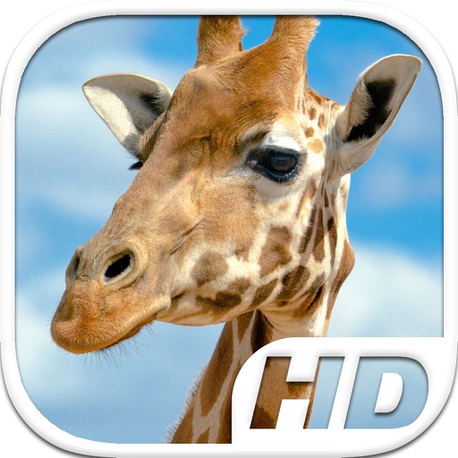 Giraffe Simulator HD Animal Life icon