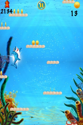 Jumping Dolphin World - Platform Hop Collecting Game Free screenshot 3
