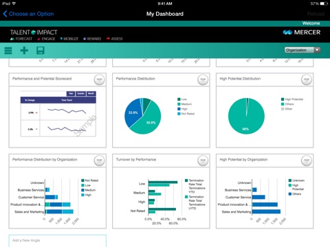 Mercer Analytics screenshot 2