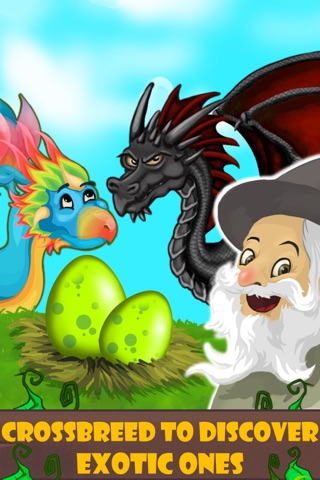 Dragon Castle screenshot 3