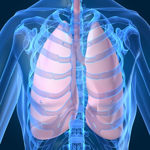 Human Respiratory System Trivia Game Icon