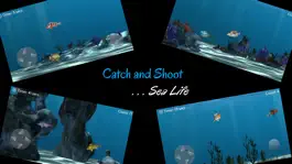 Game screenshot Catch N Shoot 2 Free mod apk