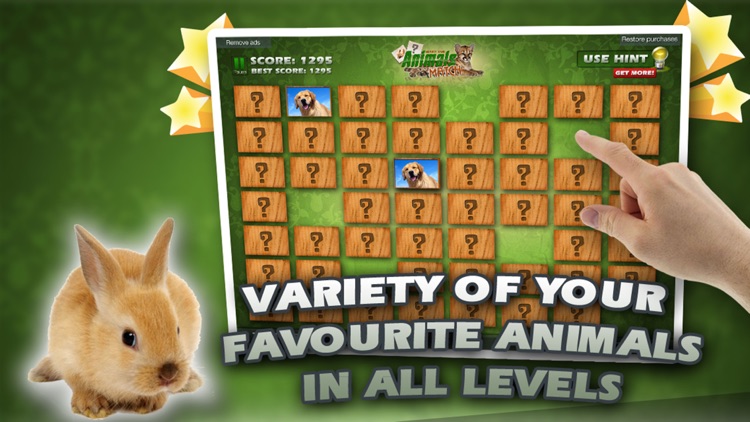 Animals Match Card Game screenshot-3