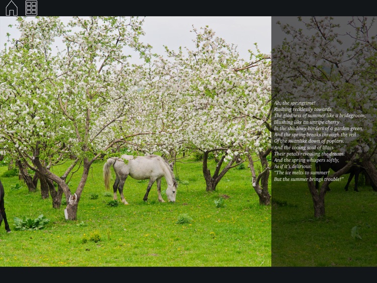 Colors of Great Steppe - Kazakhstan in photographs screenshot-3