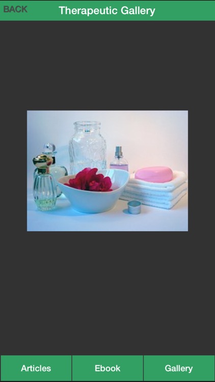 Therapeutic Massage Guide - Learn How Massage To Treat Your Illness! screenshot-4
