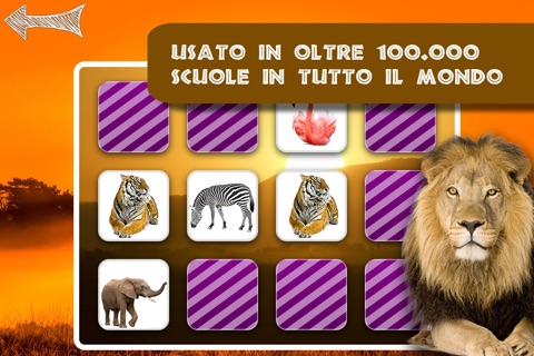 Free Memo Game Wild Animals Photo screenshot 4