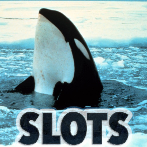 AAA Commerson's Dolphin Slots - FREE Slot Game Las Vegas Luck Journey Jackpots Icon