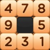 Arabic numerals cross－Sudoku Number@Puzzle