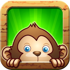 Activities of Jungle Monkey Quest