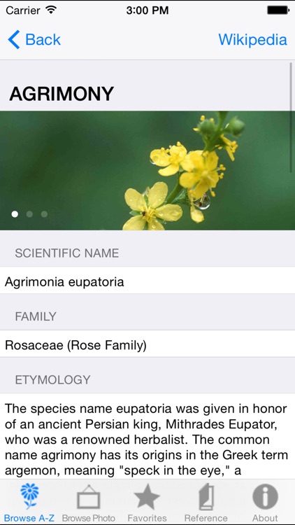 iPlant with Brigitte Mars: A Wild Plant Reference Guide
