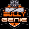Bully Genie Check 'N'