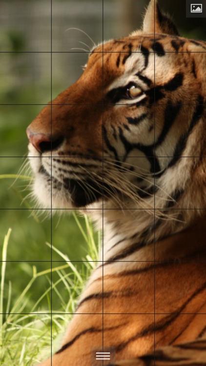 Puzzlemania - Make your photos puzzles