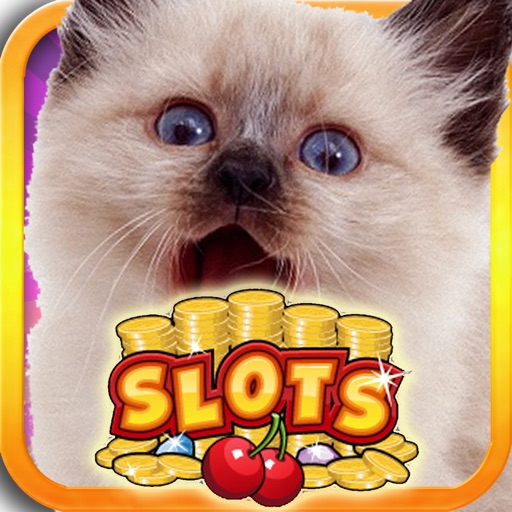 Cutest Animals Million Dollars Slot: Hit it BIG