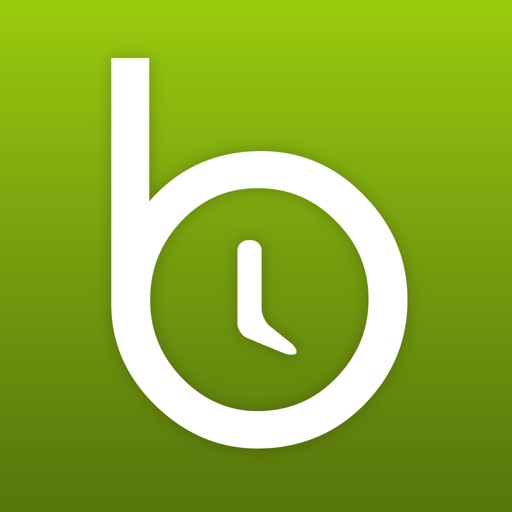 BeforeNow - Personal Timeline Creator and Journal icon