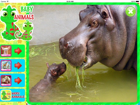Мамы и Детки - Учим Названия Животных! screenshot 4