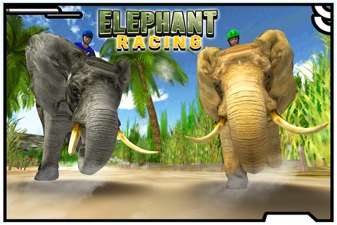 Elephant Racing screenshot 3