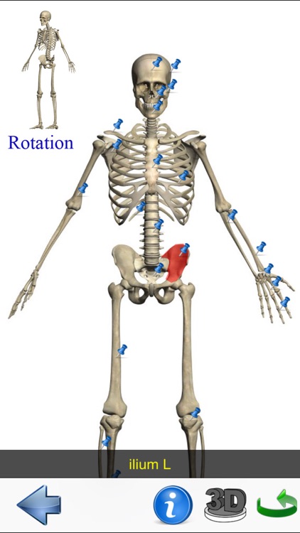 Visual Anatomy Lite screenshot-3