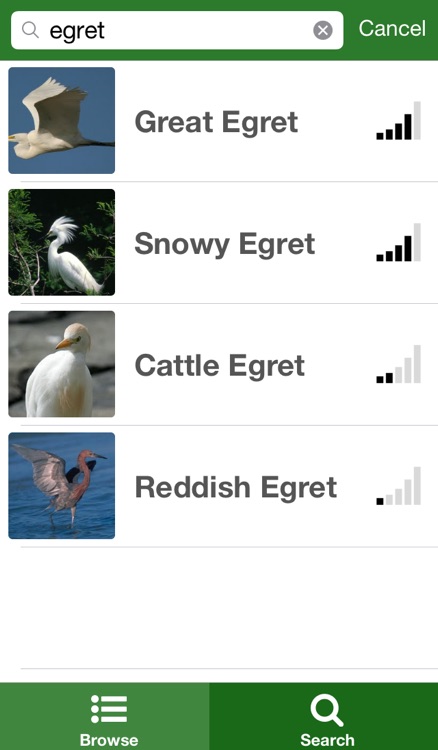 California Birds screenshot-3