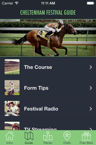 Cheltenham Festival screenshot 2