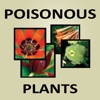 Poisonous Plants Flash Cards