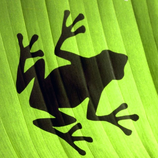 Jumping Frog Strategy Icon