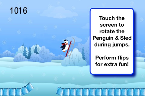 Polar Penguin Sled Racing screenshot 3