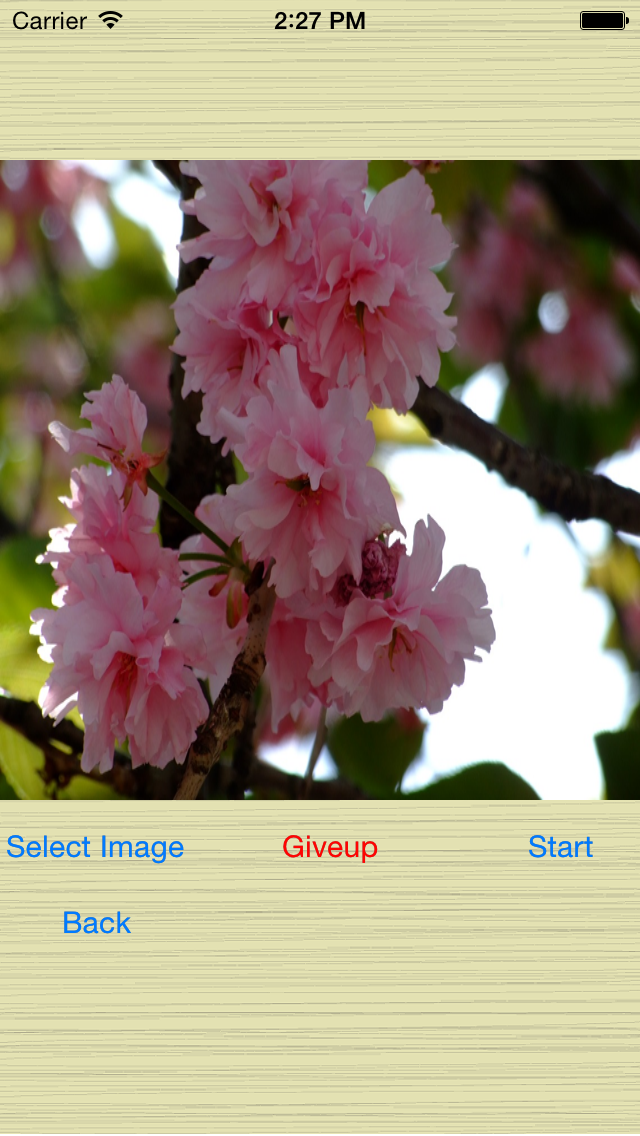 Screenshot #3 pour Puzzle_Pic