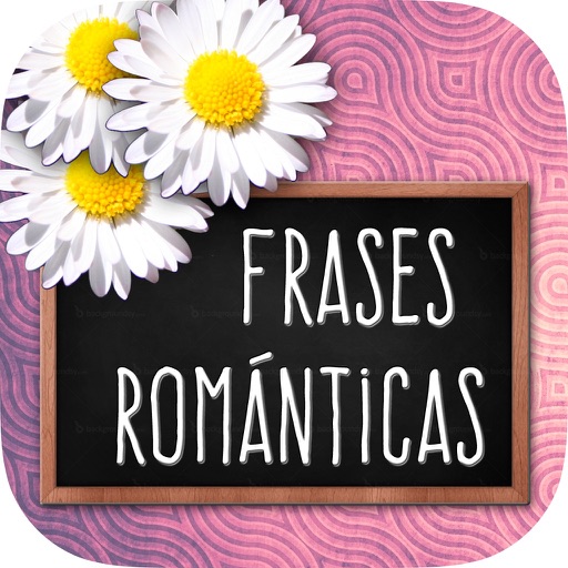 Cards of love and romantic phrases icon