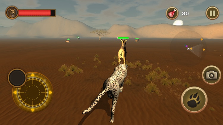 Cheetah Chase screenshot-3