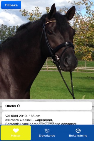 Sterntorp Dressage screenshot 2