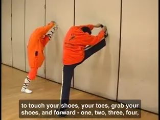 Captura 3 Shaolin Kung Fu Training iphone