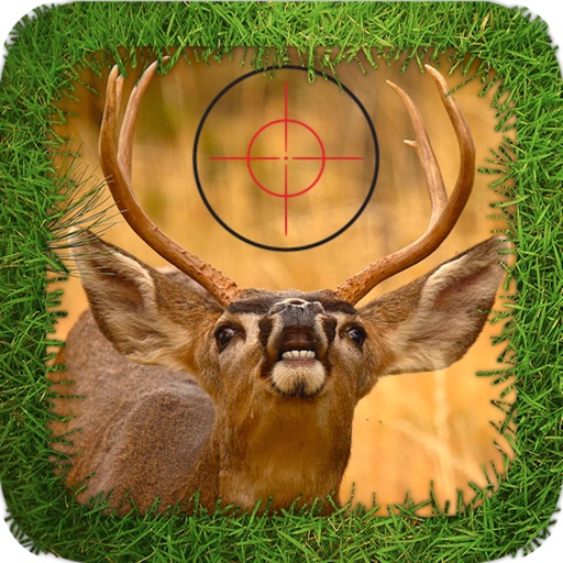 Big Deer Hunting: Sniper Adventure icon