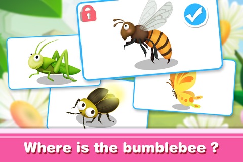 KidsBook: Insects - HD Flash Card Game Design for Kids screenshot 3