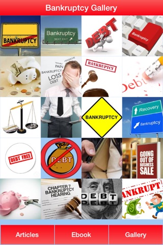 Bankruptcy Guide - Everything You Need To Know After Bankruptcy screenshot 2