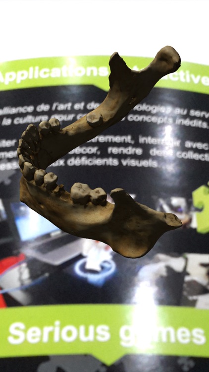 Interactive Flyers screenshot-3